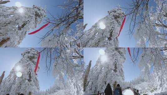 高清实拍瓦屋山冬天雪景雪山森林高清在线视频素材下载