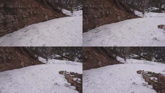 冬天 冬季 寒冷 凄凉 冷漠高清在线视频素材下载