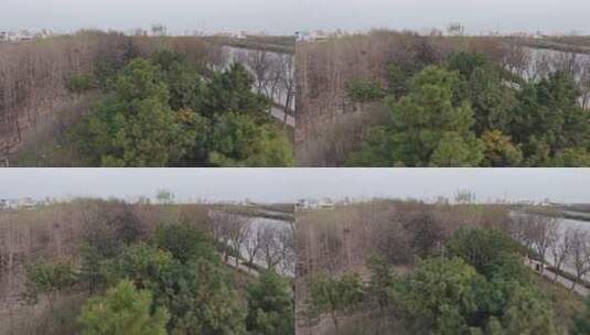 城市边缘树林河流鸟瞰高清在线视频素材下载
