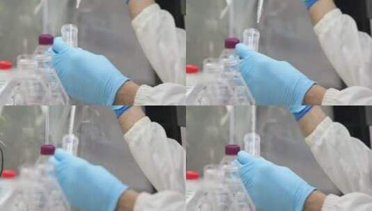 生物实验室的科学研究高清在线视频素材下载