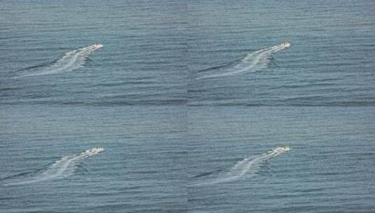 8k实拍大海中疾驰的快艇高清在线视频素材下载
