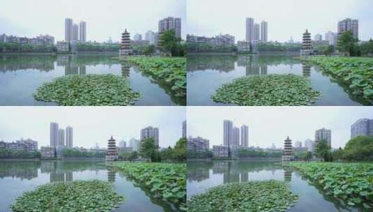 武汉汉口宝岛公园风景高清在线视频素材下载