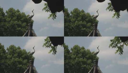 白鹤雕像古建筑园林空镜8K实拍高清在线视频素材下载