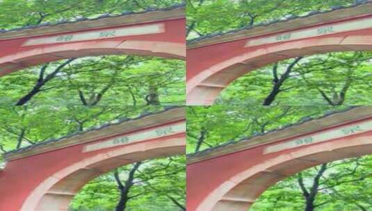 灵谷寺景区内的建筑视频2高清在线视频素材下载