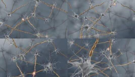神经元神经树突细胞神经系统高清在线视频素材下载