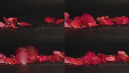 掉落的玫瑰花视频高清在线视频素材下载