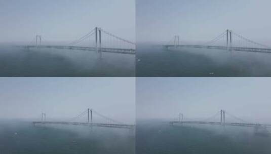 航拍云海中的大连星海湾大桥高清在线视频素材下载