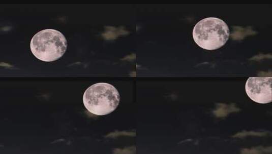 月夜素材高清在线视频素材下载