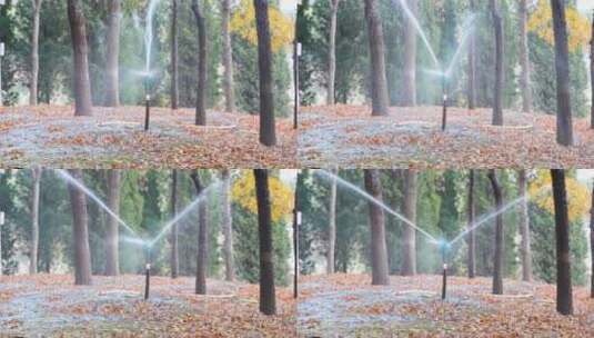 公园喷头水花灌溉浇水园林绿化高清在线视频素材下载