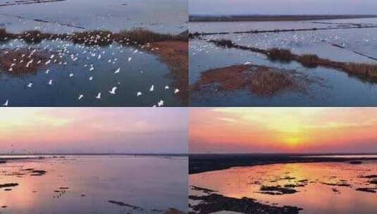 【航拍】沉湖湿地02（2022.12.22）4K_升格高清在线视频素材下载