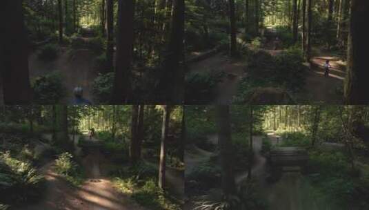 森林中的山地车越野航拍高清在线视频素材下载