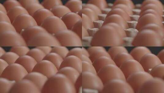 鸡蛋中的鸡蛋面板视频高清在线视频素材下载