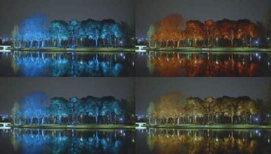 4K夜晚水边灯光照射下变换颜色的树木高清在线视频素材下载