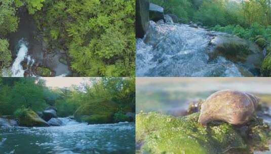 水青苔山泉水流水滴水风景森林自然大自然水高清在线视频素材下载