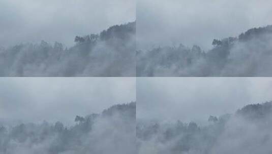 航拍山谷晨雾迷雾森林高清在线视频素材下载