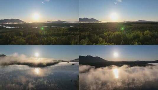 唯美日出雾气云海森林云雾湖泊山峰阳光合集高清在线视频素材下载