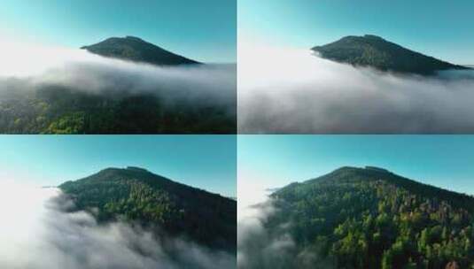 FPV航拍青山穿越云雾森林山峰绿色森林高清在线视频素材下载