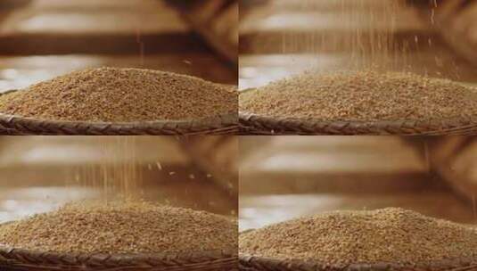 小麦掉落高清在线视频素材下载