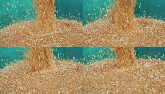 4K小麦丰收麦粒高清在线视频素材下载