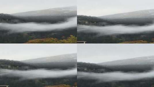森林云雾的竖屏视频高清在线视频素材下载