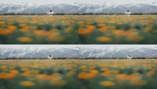 一个女人在满是鲜花的田野里奔跑的镜头竖屏高清在线视频素材下载