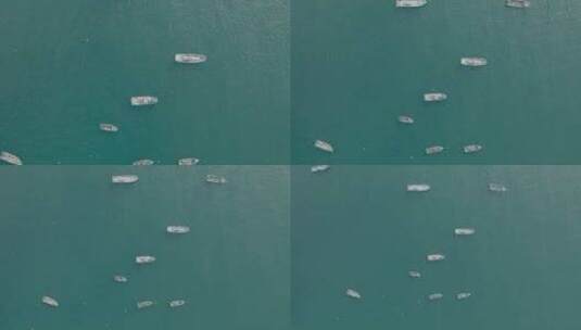 广阔的大海海面上的渔船航拍高清在线视频素材下载