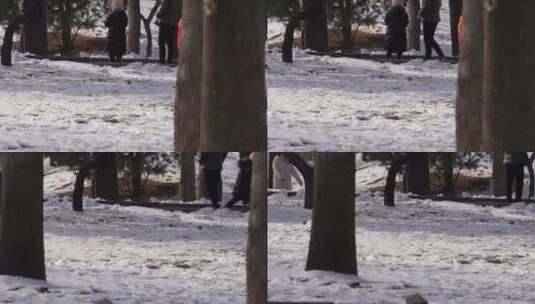 冬季下雪树林孩子打雪仗玩雪高清在线视频素材下载
