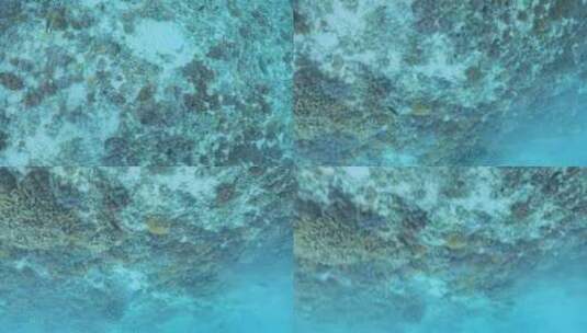 巴厘岛浮潜高清在线视频素材下载