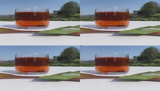 采茶4K实拍视频高清在线视频素材下载