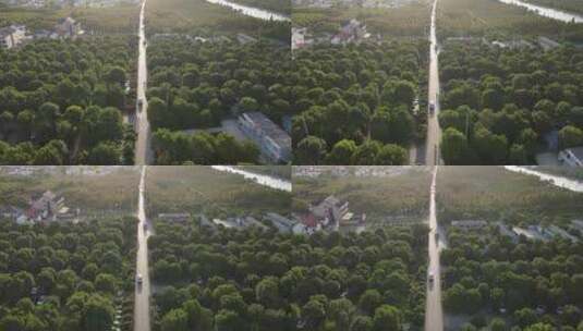 花开海上生态园景区（上海金山区）4K航拍高清在线视频素材下载