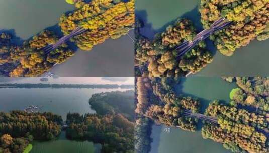 中国杭州西湖杨公堤秋日美景（合集）高清在线视频素材下载