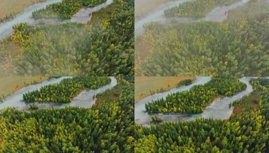 航拍森林中的河流高清在线视频素材下载