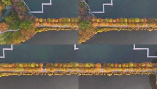 武汉东湖风景区深秋风光高清在线视频素材下载