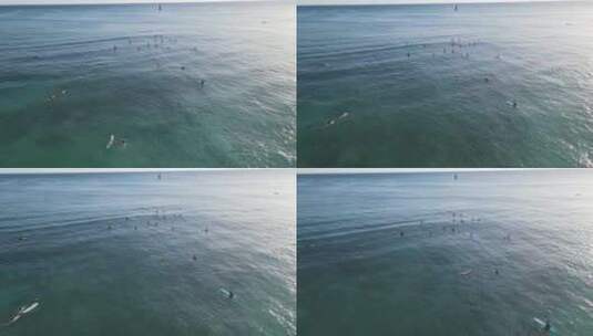 无人机航拍在大海上冲浪的游客高清在线视频素材下载