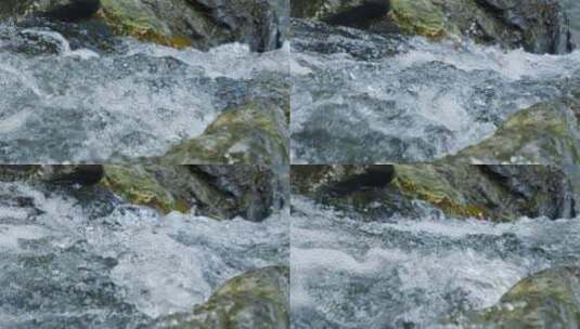 生态流水清澈小溪高清在线视频素材下载