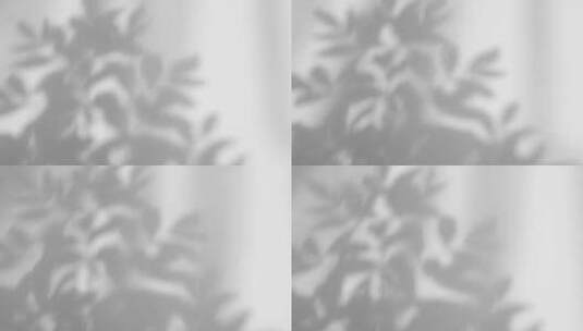 树影 叶子 树叶的影子高清在线视频素材下载