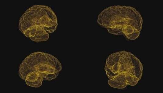 全息图大脑高清在线视频素材下载