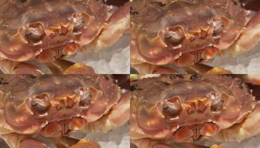 日本日料店餐厅的秋叶蟹特写镜头高清在线视频素材下载