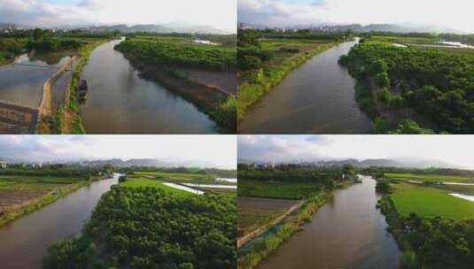 航拍闽江小岛果园茉莉花田沙洲湿地河汊白鹭高清在线视频素材下载