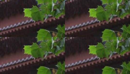 雨天屋檐下雨雨水惊蛰禅意古风清明大暑高清在线视频素材下载