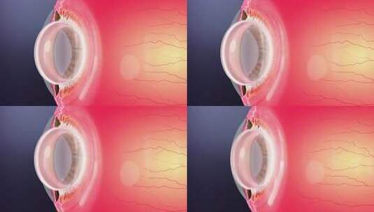 眼球睫状肌放松眼睛调节视力调节横屏高清在线视频素材下载