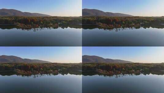 江苏南京灵山风景区前湖秋天秋色航拍高清在线视频素材下载