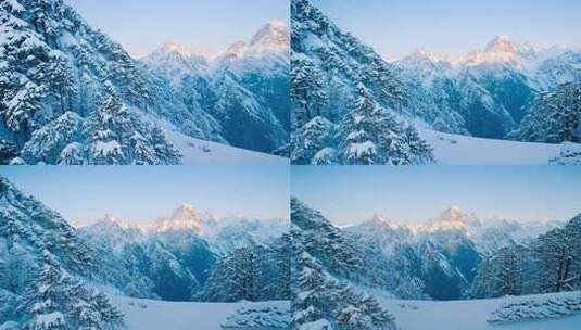 雪山与雪松林组成的壮丽冬日雪景高清在线视频素材下载