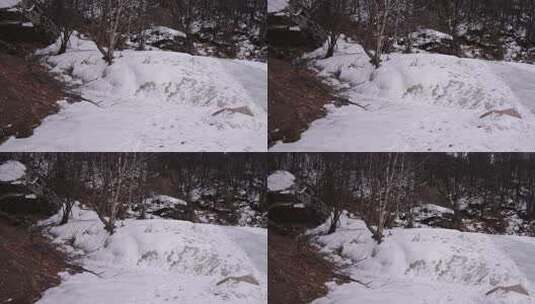 冬天 冬季 寒冷 凄凉 冷漠高清在线视频素材下载