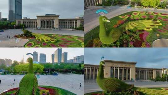 河北博物院前孔雀绿植景观高清在线视频素材下载