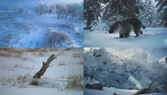 冬日森林雪景风光雪地动物自然景观雪山雪崩高清在线视频素材下载