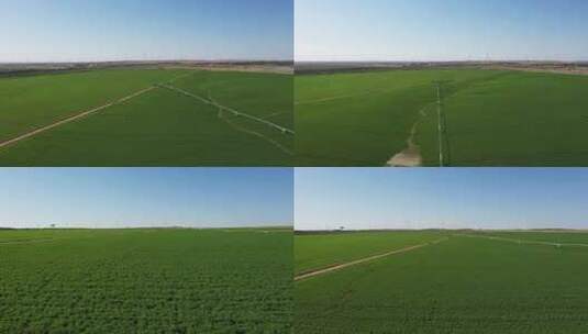 航拍喷灌圈 苜蓿农场节水灌溉  风力发电场高清在线视频素材下载