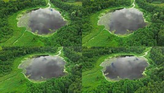 夏天有藻类的湖泊和绿色沼泽。高清在线视频素材下载