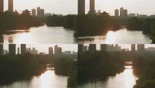 湖北荆州城市湿地逆光4K航拍高清在线视频素材下载