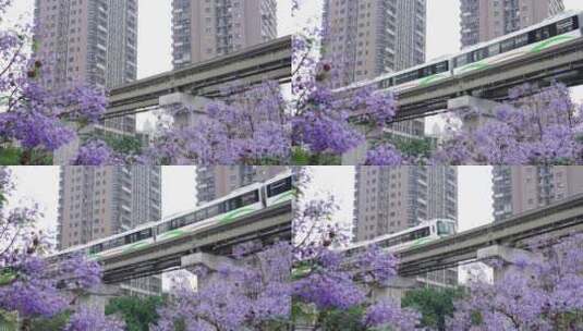 重庆轻轨 公共交通服务高清在线视频素材下载